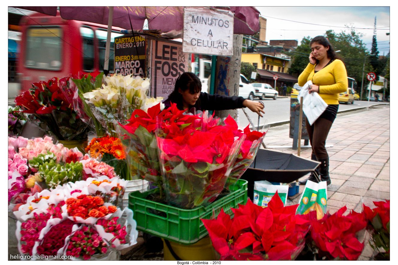 Florista, Bogotá, Colômbia